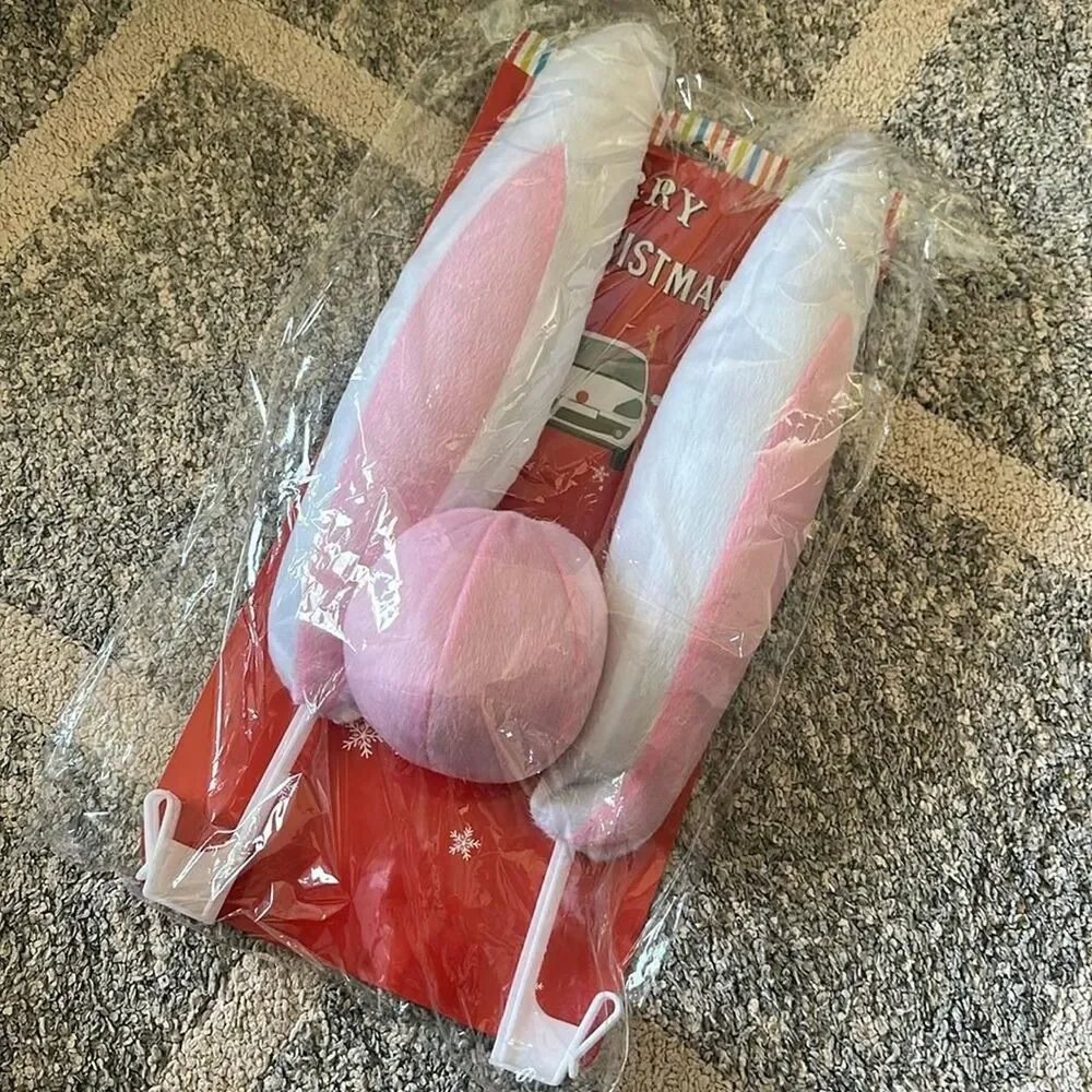 Source Unknown car bunny